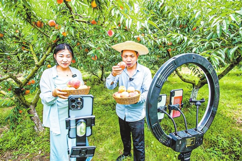 互联网零售选购指南：轻松买到心仪商品